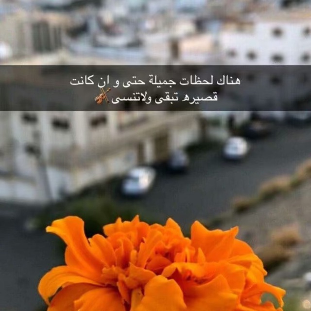 تالين متعب القحطاني